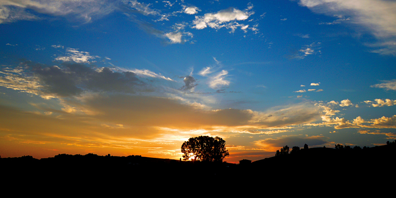 e_x_dodo__P1000068_80x40